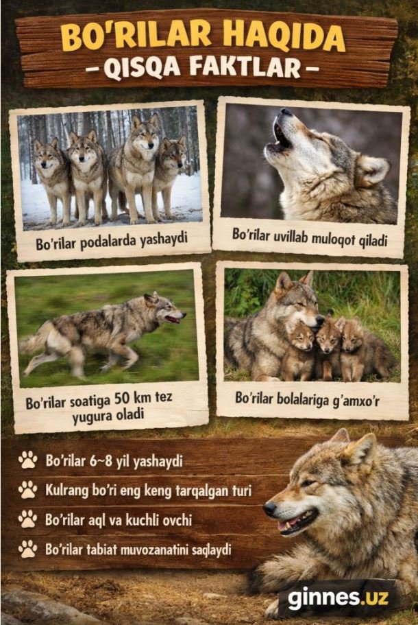 стая волков