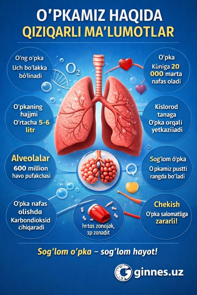 Upka haqida ma'lumot